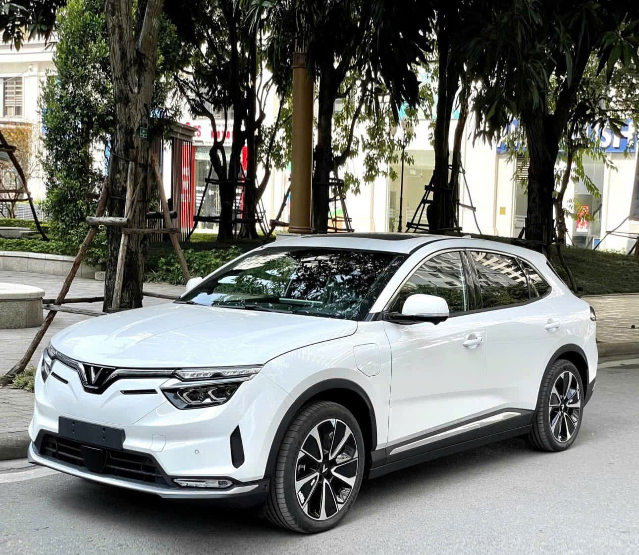 z6653622251125_dc691e00ce13e5441e7190001042d6e8